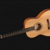 Acoustic guitar 000